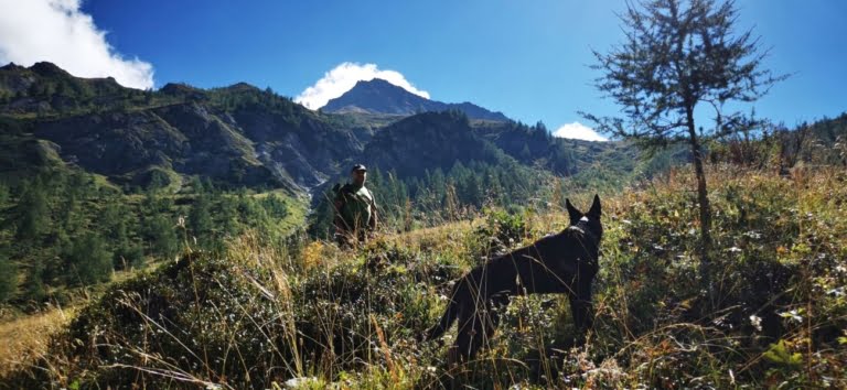 Pies i człowiek podziwiający panoramę Wysokich Taur.