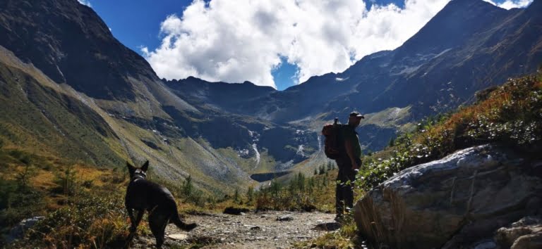 Pies i człowiek wędrujący po malowniczym szlaku w Wysokich Taurach.